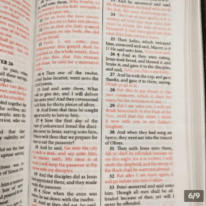 Soft Leatherette Cover Compact KJV Holy Bible (Large Print, Gold Edge, Red Letter)