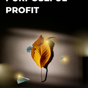 THE PURPOSEFUL PROFIT