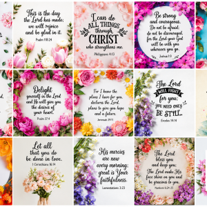 BIBLE VERSES POSTCARDS .
