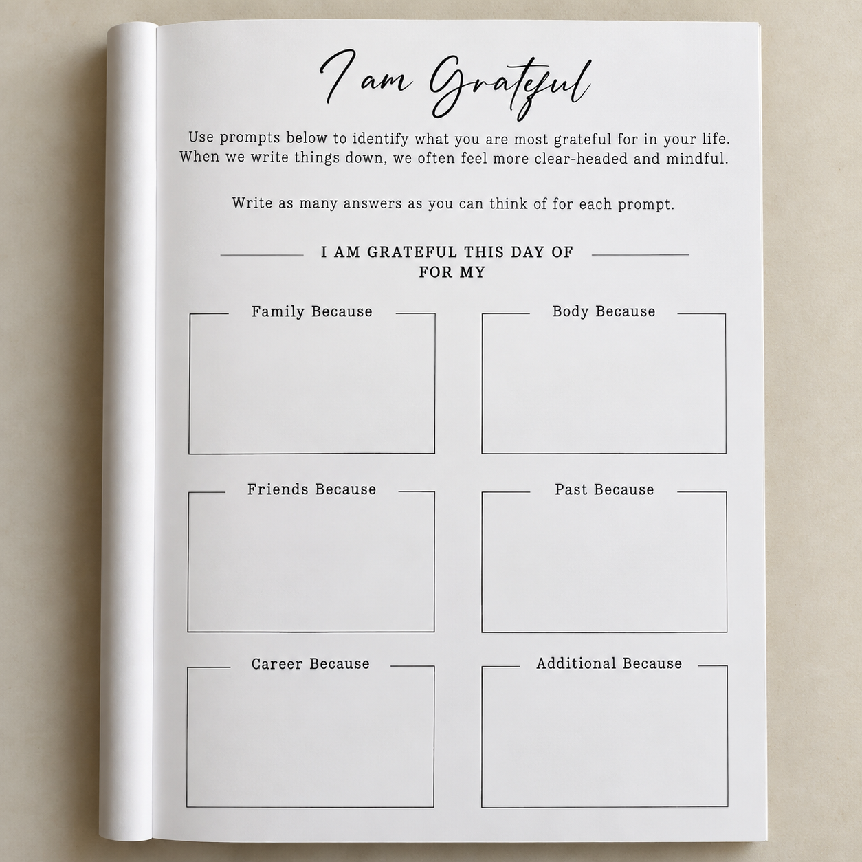 GRATITUDE JOURNAL (10 PCS ASSORTED) - Image 3